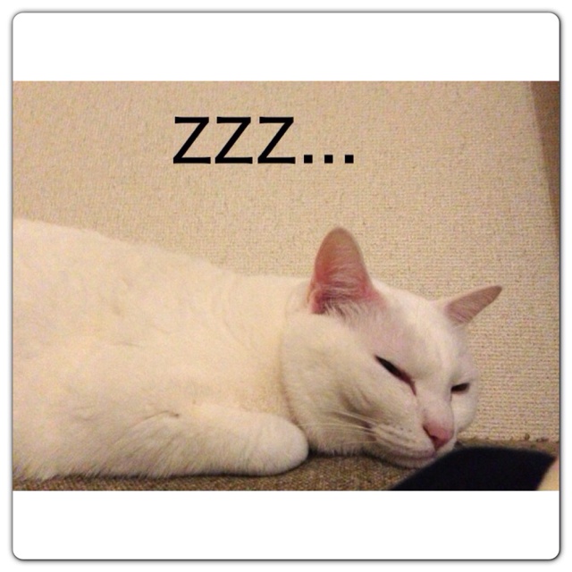 rblog-20130523003939-01.jpg