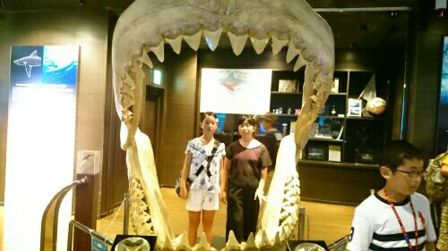 rblog-20160730162758-04.jpg