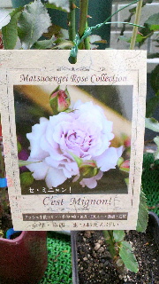 2013052818030000.jpg