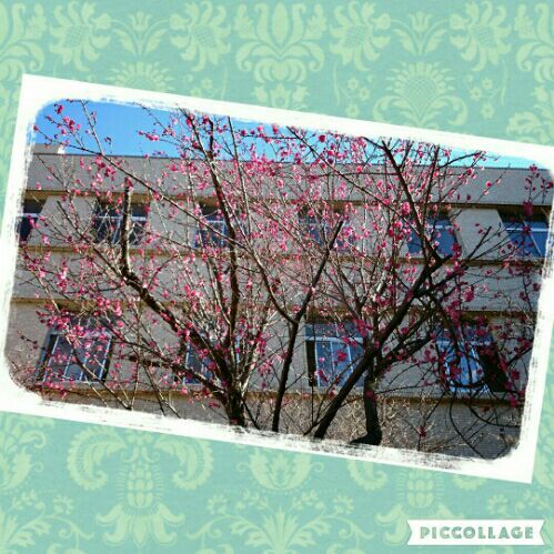 rblog-20170117211819-01.jpg