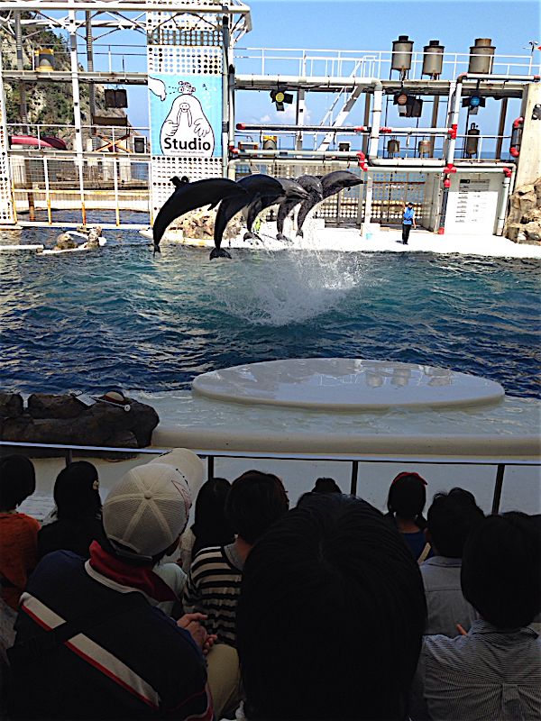rblog-20140907194340-03.jpg
