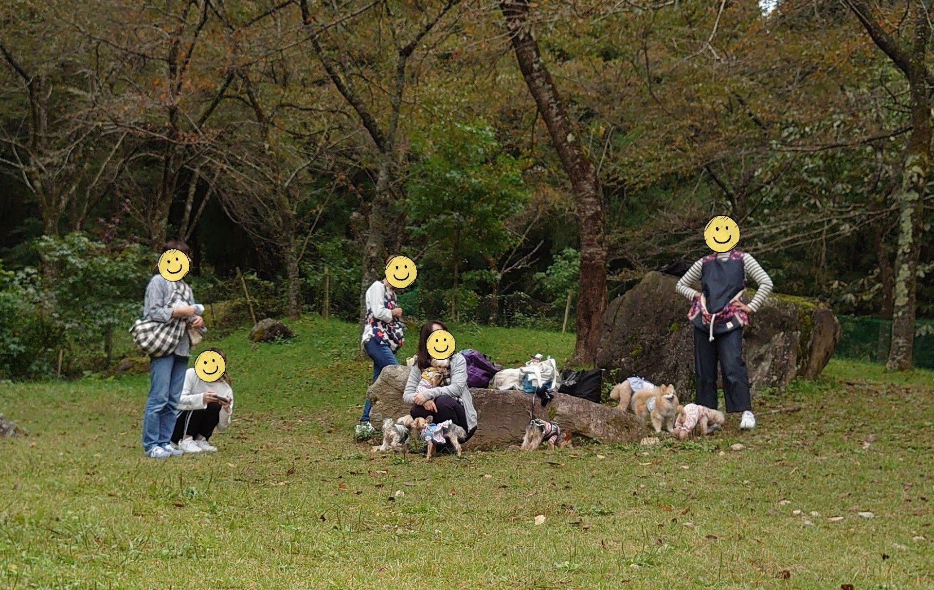 蒜山へ しょーもない独り言 楽天ブログ