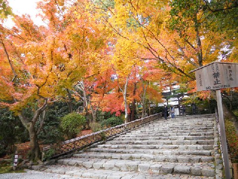 2012-11 龍安寺庫裡階段の紅葉.jpg