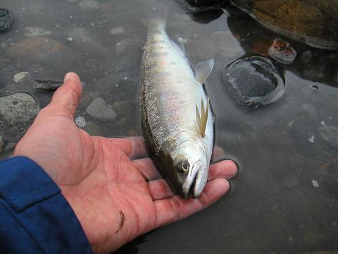 2012.03.31 010S.JPG