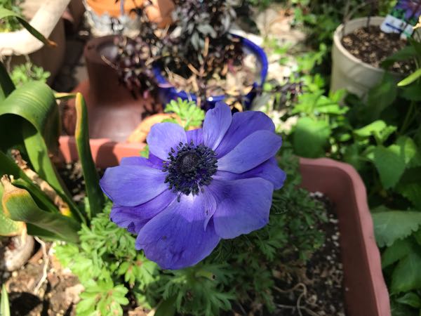 rblog-20190423181829-02.jpg