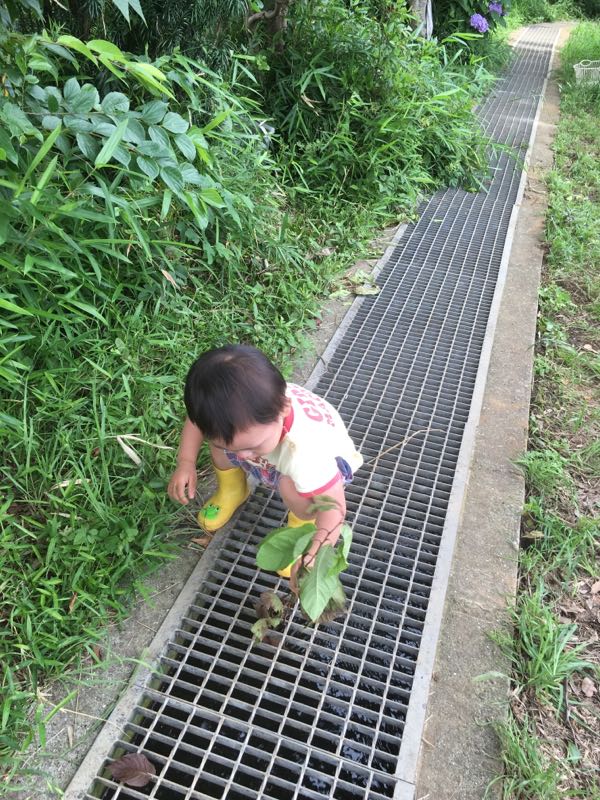 rblog-20160627000824-08.jpg