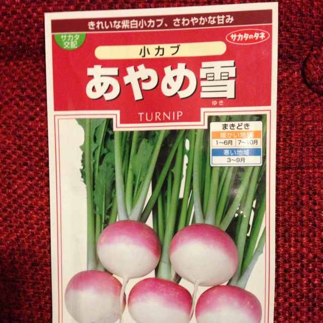 rblog-20131020003319-02.jpg
