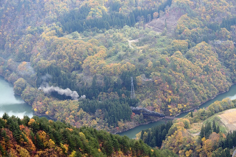 2015-11