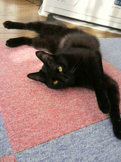 2013010210290000.jpg