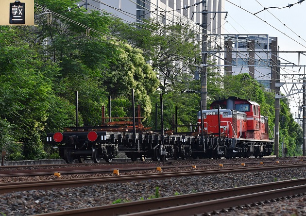 DSC_4618.JPG