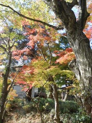 普賢寺