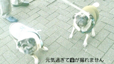 002.JPG