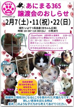 rblog-20150211215712-04.jpg