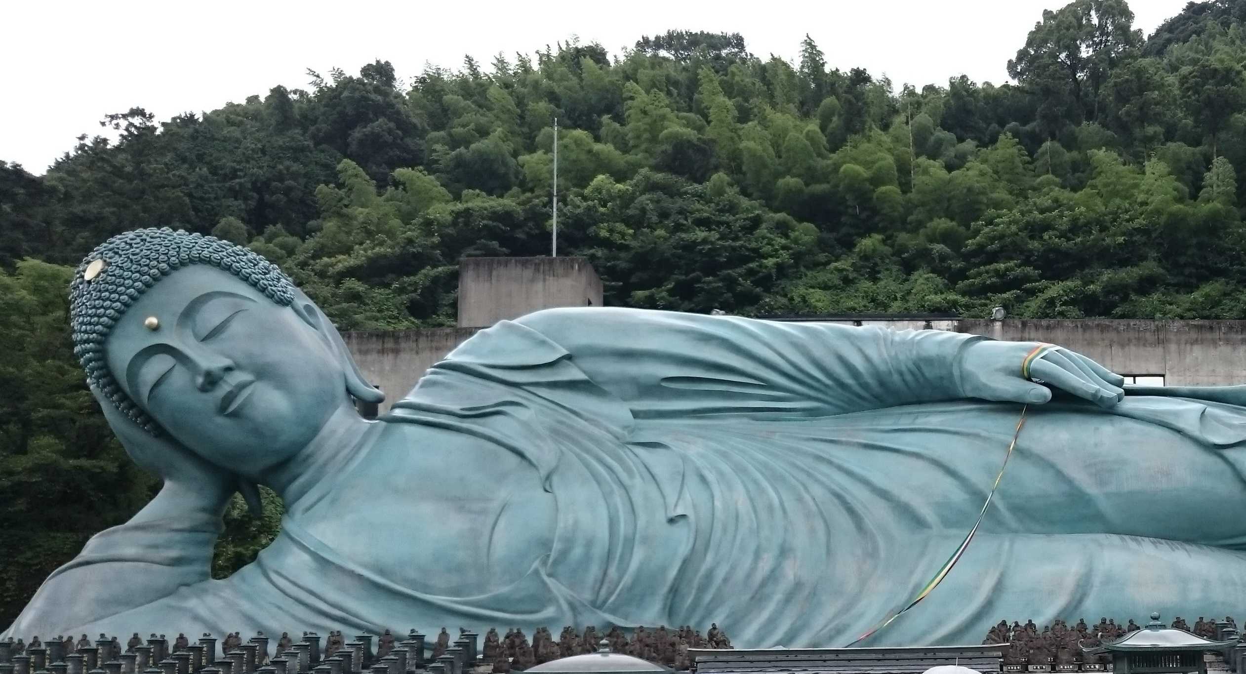 毎日が感謝の日😌
