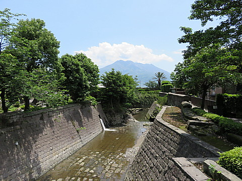 IMG_1274.jpg