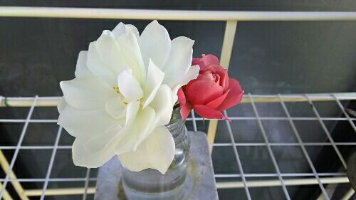 rblog-20171211200031-02.jpg