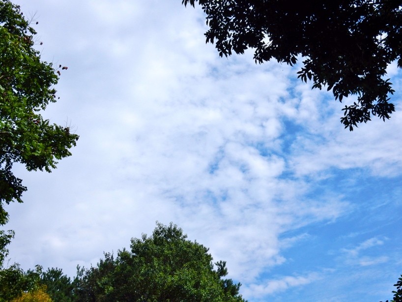 空5.JPG