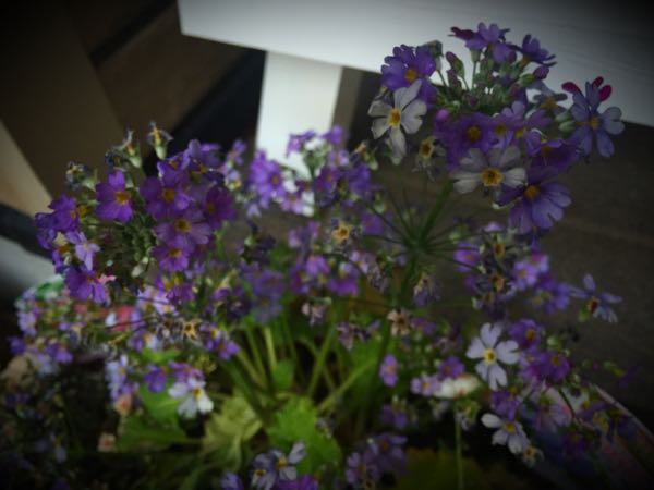 rblog-20160229191718-00.jpg