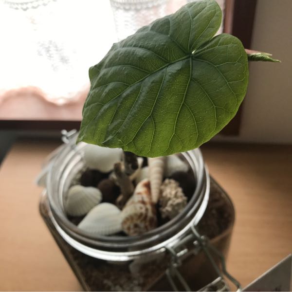 rblog-20170326204947-05.jpg