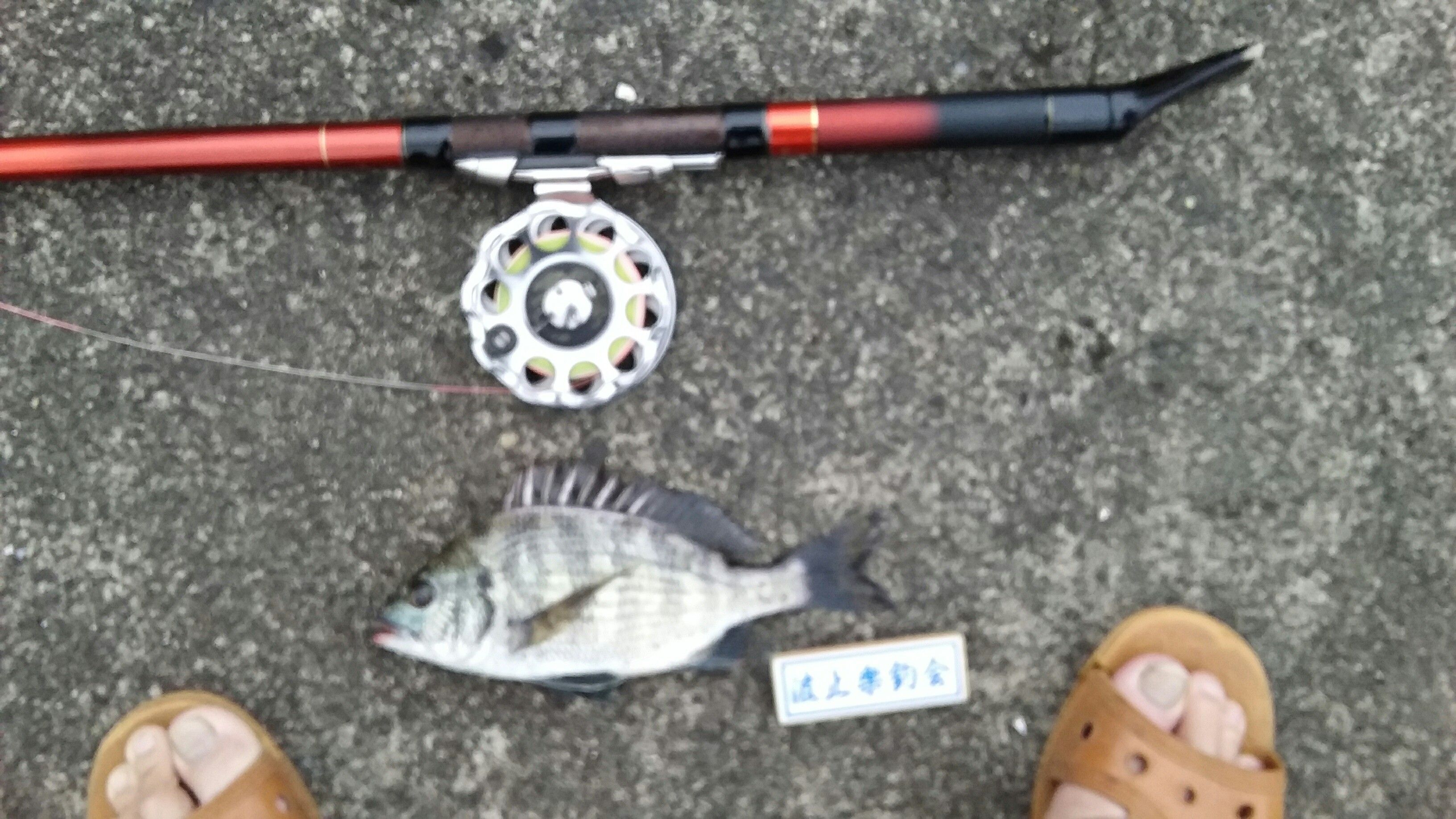 木曜日のヘチ釣り 久しぶりに熟女のキツイ締め込みは感じれたが たかおかさんのぶろぐ 其の弐 楽天ブログ