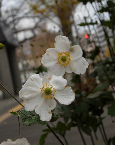 DSCN2877.JPG