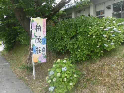rblog-20180812165242-02.jpg