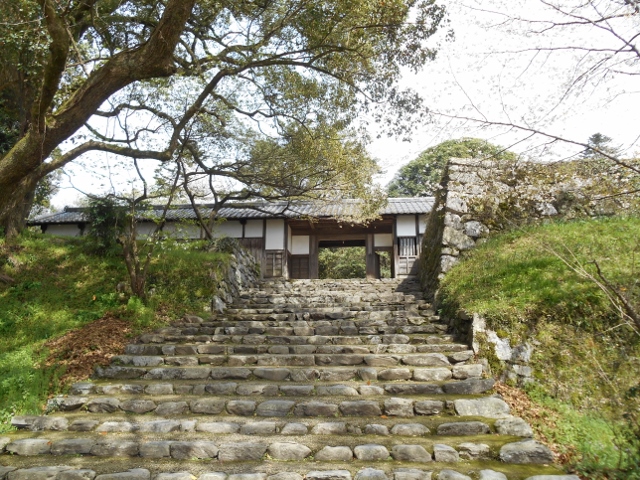 010 (640x480).jpg