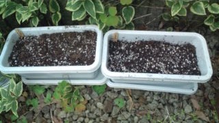 20120817163334.jpg