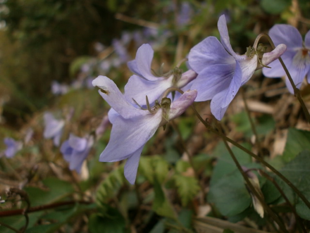 P4110876.JPG