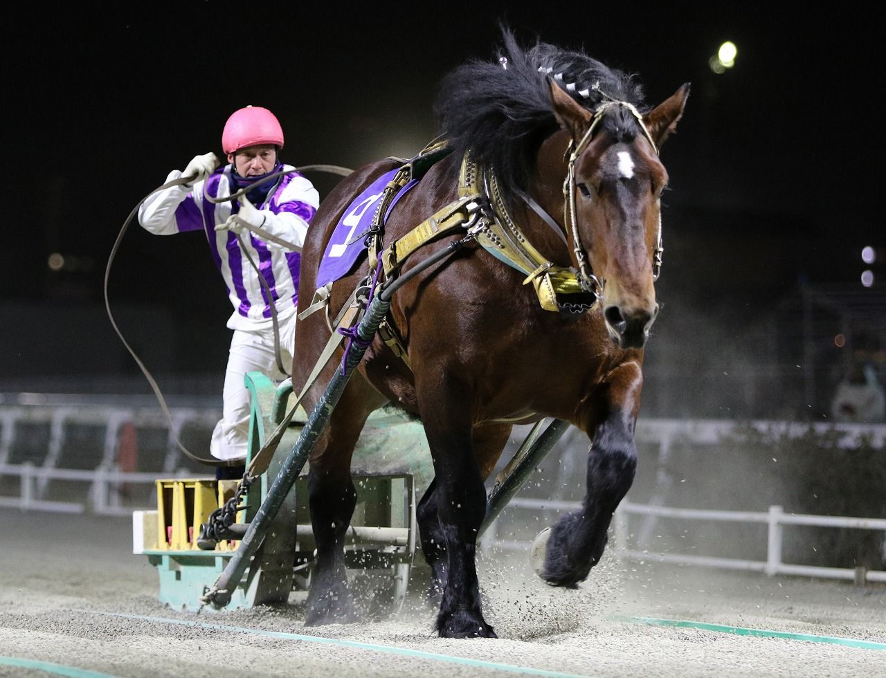 新着記事一覧 地方競馬の楽天競馬 日替わりライターブログ 楽天ブログ