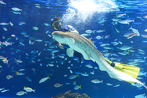 水族館