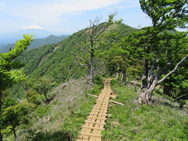 丹沢登山（3）丹沢山山頂→蛭ヶ岳山頂 | 星とカワセミ好きのブログ - 楽天ブログ