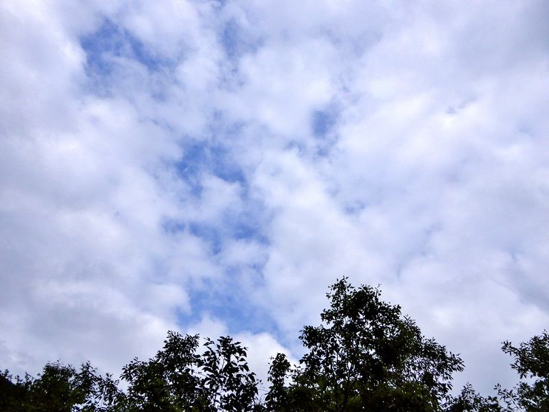 空3