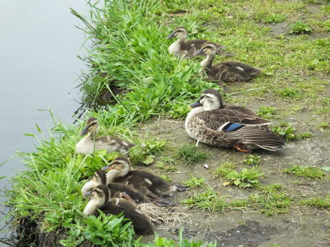 小池公園にて