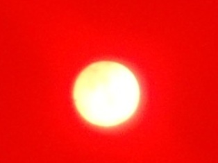 金星日面通過_20120606