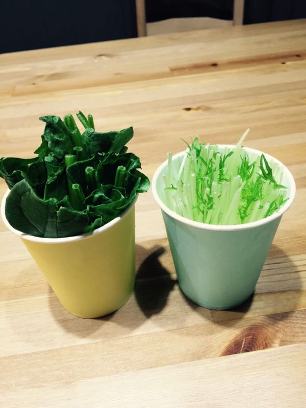 rblog-20150318114822-00.jpg