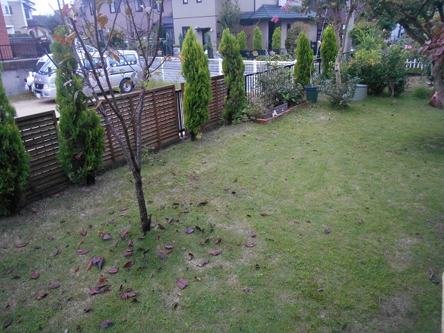 DSCN1096.JPG