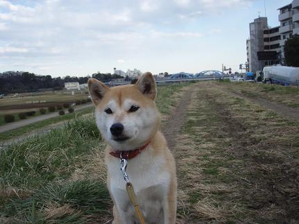土手道の私