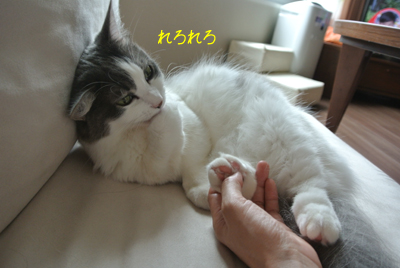 mumu36.jpg