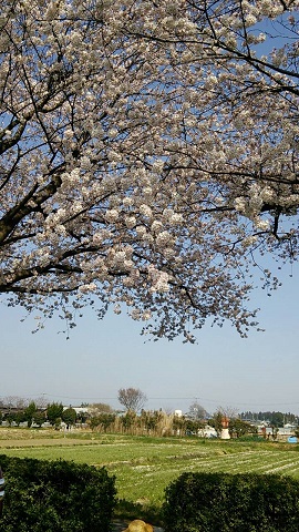 2015033104.jpg
