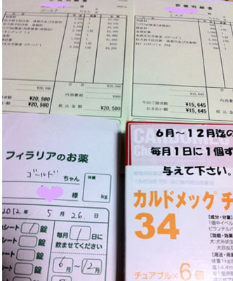 2012.5.26料金