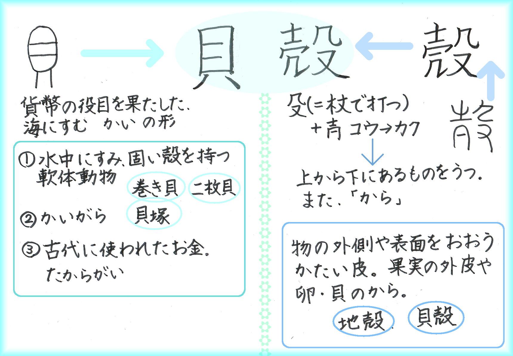 貝殻の秘密 対数螺旋 60ばーばの手習い帳 楽天ブログ
