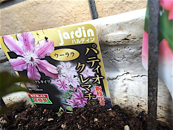 rblog-20160330183505-03.jpg