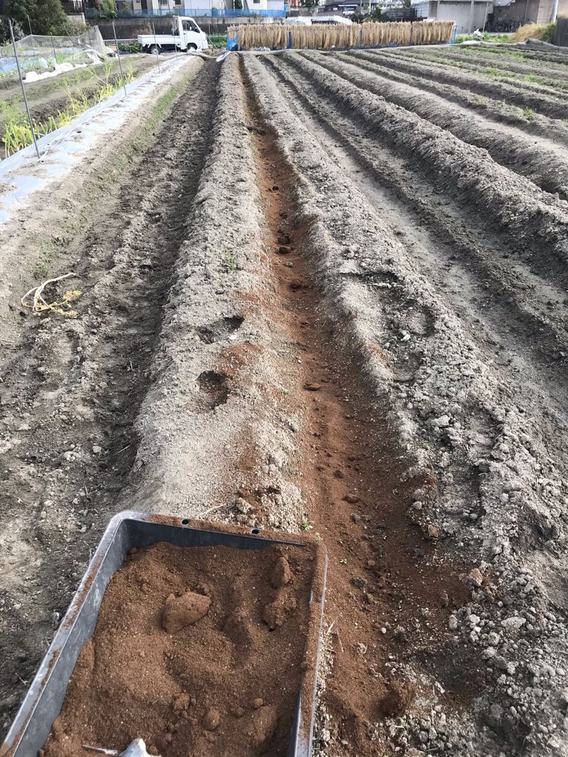 ナスの畝に鶏糞 有機牡蠣がら石灰 米ぬかを溝施肥しました 田中農業村 楽天ブログ