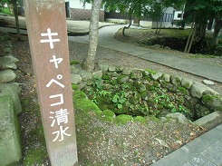 CIMG3595.jpg