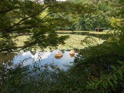 龍安寺