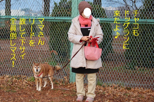 斃します