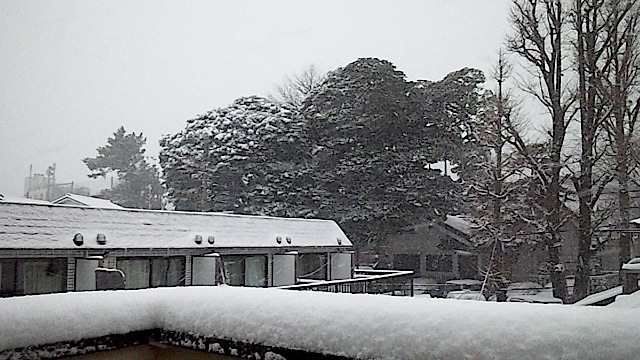 140208_143300.jpg