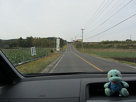 IMG_2728.jpg