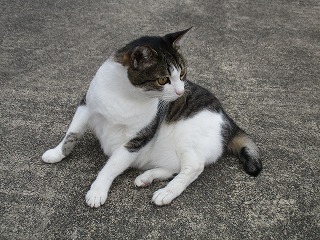 IMG_1841ss.jpg